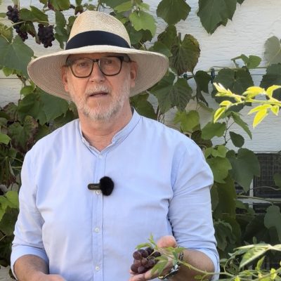 Sustainable Business Gardener – Juergen L Sommer Sustainable Business Gardener - Juergen L Sommer